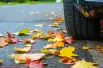 Sicher durch den Herbst