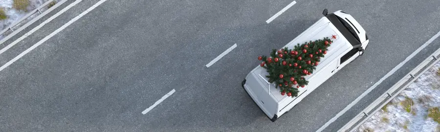 So gelingt der Weihnachtsbaum-Transport mit dem Auto